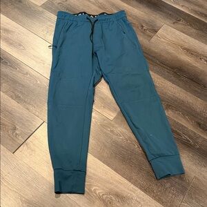 American Eagle Outfitters Teal Jogger Pants Mens Medium EUC